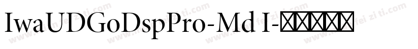 IwaUDGoDspPro-Md I字体转换